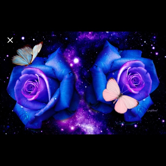 CindaBella’s Fashion Boutique - Picture 6 of 7